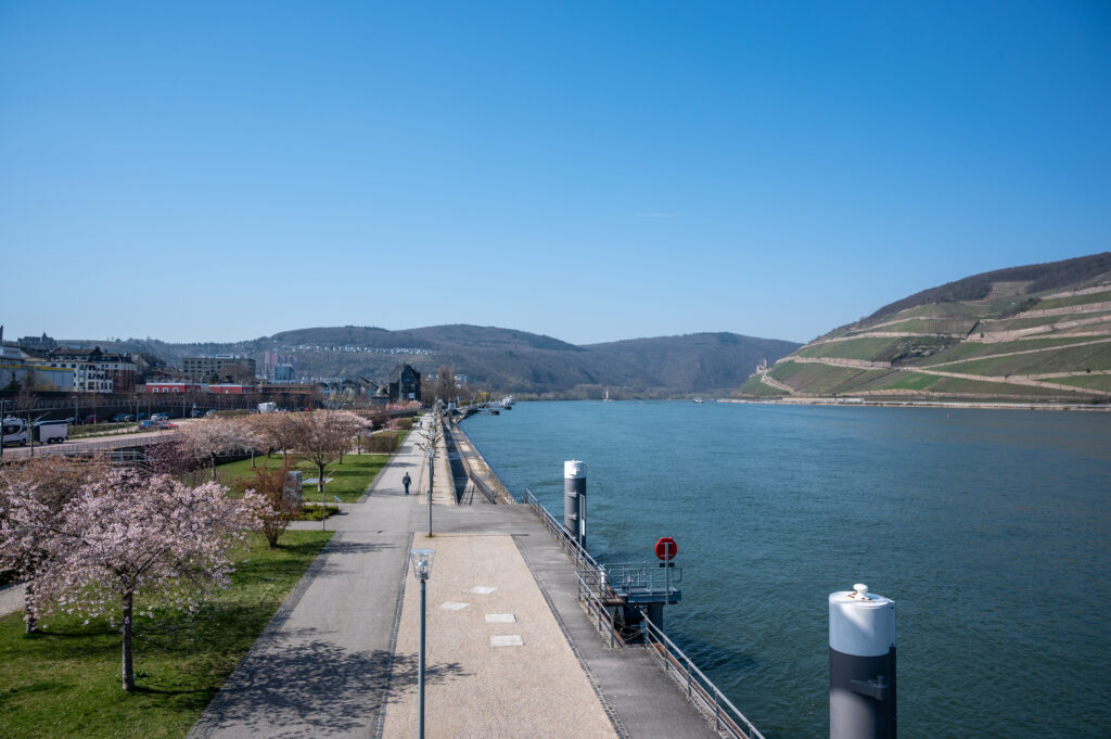 Die Uferpromenade lässt Besucher den Panoramablick der romantischen Landschaft vom Binger Loch mit Mäuseturm, Ruine Ehrenfels und Rheingebirge bis zum Rheingau und Taunusgebirge erleben. (Foto: Andrea und Jonas Schwappach)
