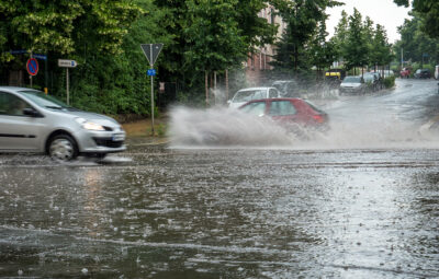 (Foto: iStock/Animaflora)