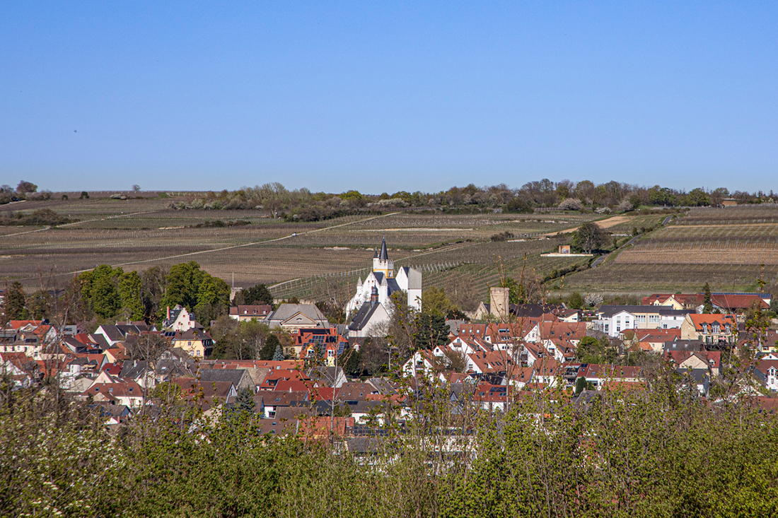 (Foto Ingelheim: iStock/travelview)