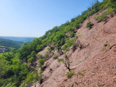 Hang im Naturpark Soonwald-Nahe